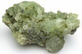Green Prehnite Crystal Cluster - Morocco #224841-1